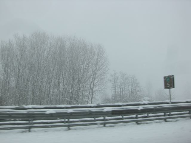 トリノで大雪！！_c0094808_19473130.jpg