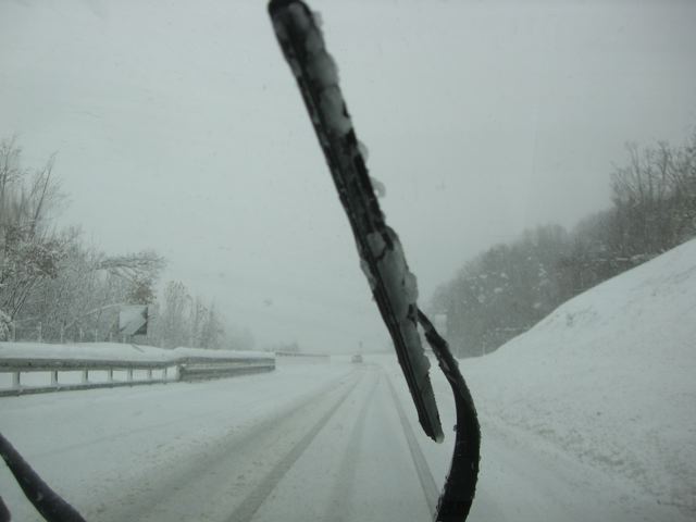 トリノで大雪！！_c0094808_19475154.jpg