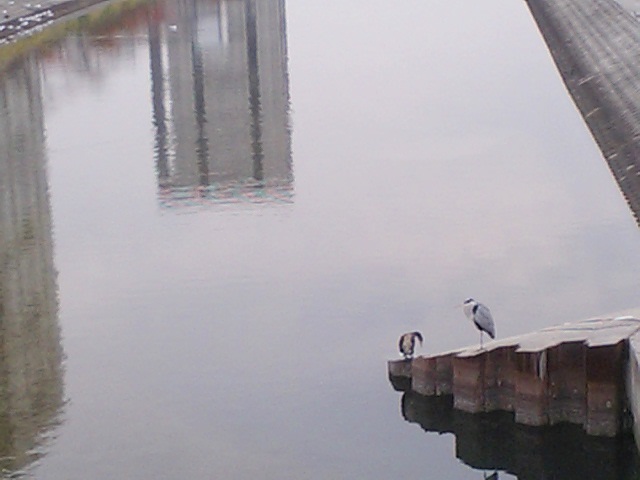 a0048918_13261374.jpg