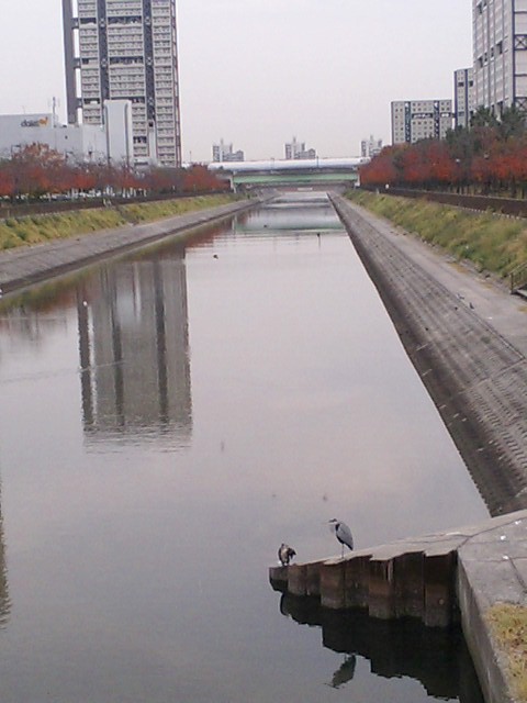 a0048918_13263886.jpg