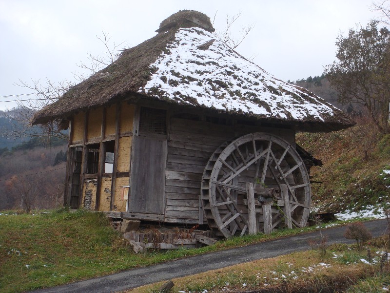 d0109319_78823.jpg