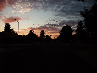 f0037623_1431547.jpg