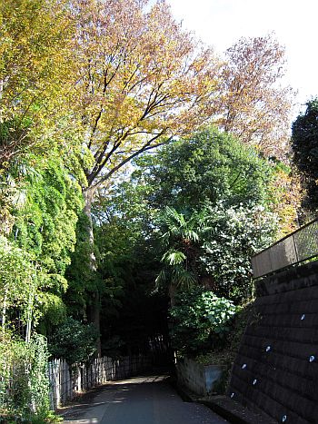e0108126_2215433.jpg