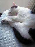 b0000829_20405971.jpg