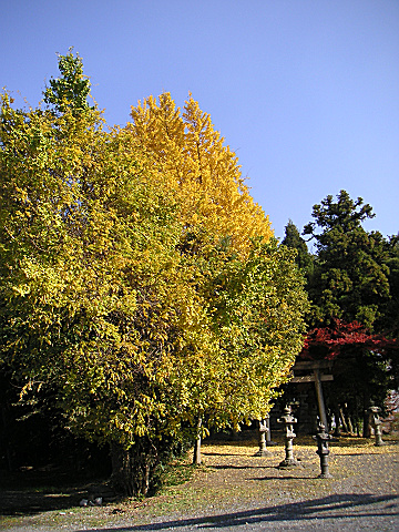 b0088444_22464786.jpg