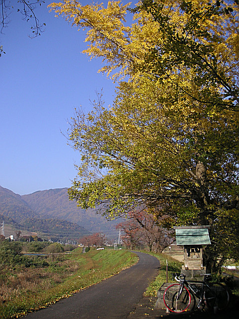 b0088444_23274878.jpg
