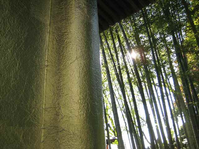 b0009849_16144563.jpg