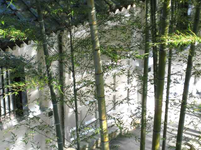 b0009849_16182528.jpg