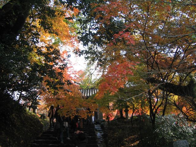 a0027555_161265.jpg