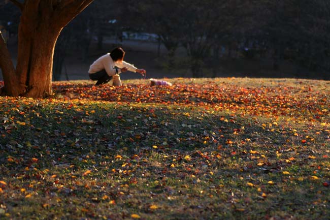 幸せ時間_a0052155_17354421.jpg