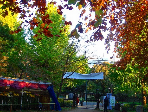 c0119160_1046534.jpg