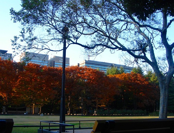 c0119160_1238244.jpg