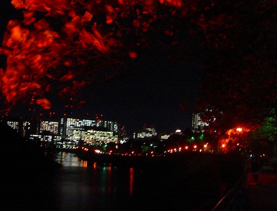 c0119160_12424163.jpg