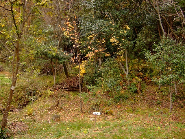 b0095061_851336.jpg