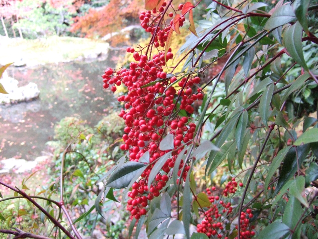 c0178561_21184136.jpg