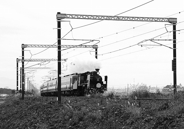 c0173762_21241115.jpg