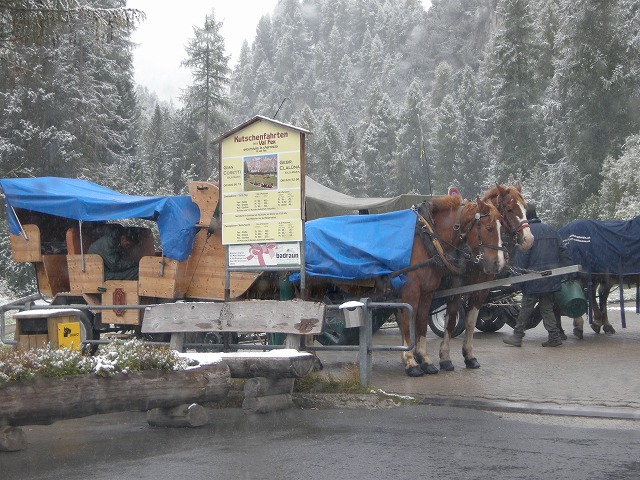 シルスマリアの観光馬車_b0091767_21254931.jpg