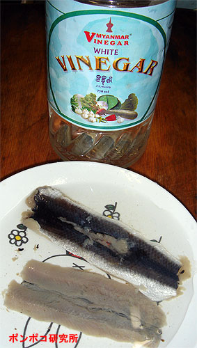 Surströmming（シュールストレミング）_e0073268_19385077.jpg