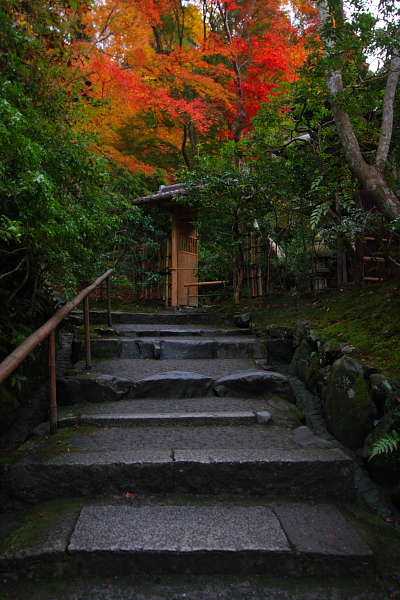 瑠璃光院_e0051888_5102015.jpg