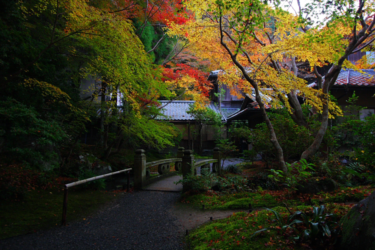 瑠璃光院_e0051888_510536.jpg