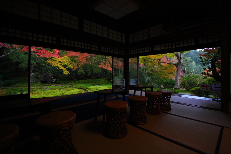 瑠璃光院_e0051888_5121576.jpg