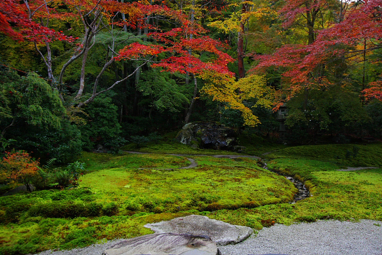 瑠璃光院_e0051888_5125422.jpg