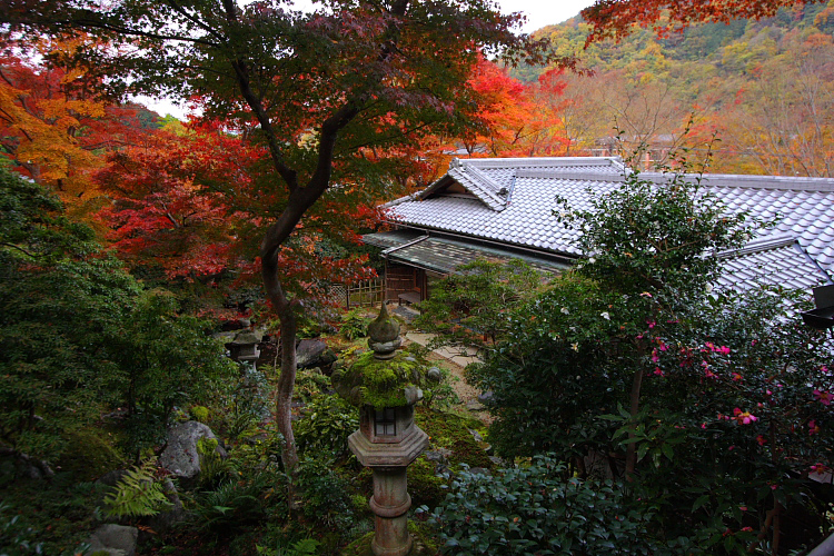 瑠璃光院_e0051888_5132896.jpg