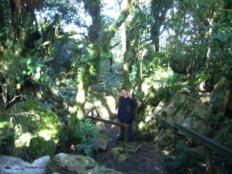 ♪　NZ -Kawiti-  ♪_f0046489_20595488.jpg