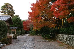 嵐山の紅葉　その２_f0064192_12434864.jpg