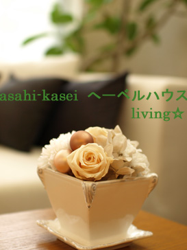 街かどへーベルハウス体験会開催_d0144095_22215538.jpg