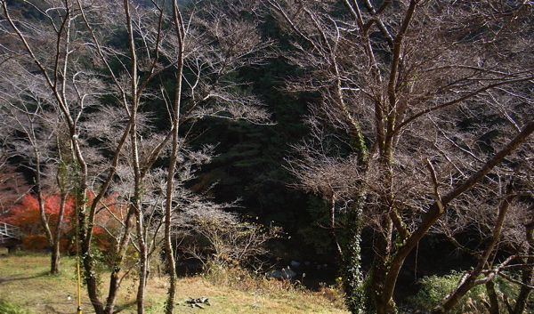 c0015099_1984490.jpg