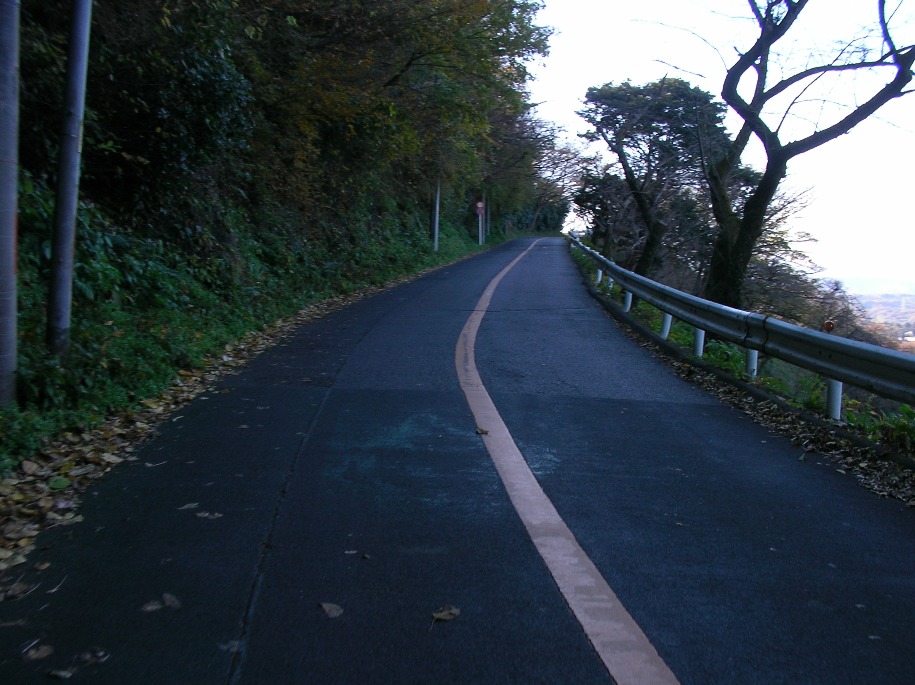 b0092300_22545584.jpg
