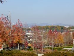 c0107402_0475763.jpg