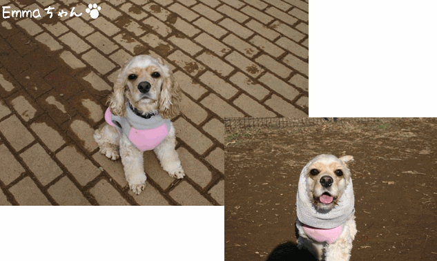 c0128303_1340635.gif