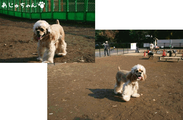 c0128303_13451751.gif