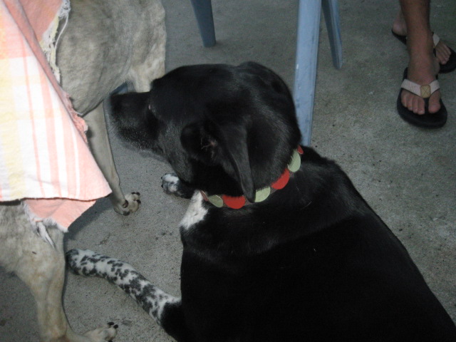 c0048504_1322163.jpg
