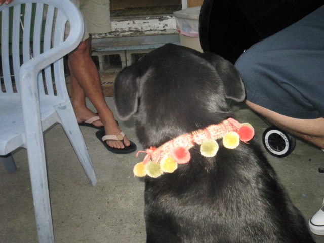 c0048504_1341698.jpg