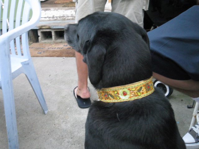 c0048504_135241.jpg