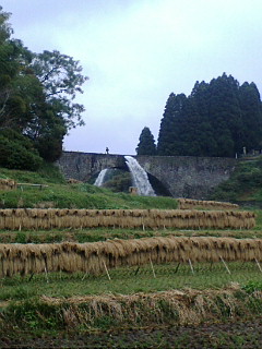c0052304_1842342.jpg