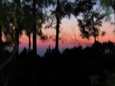 c0172404_203149.jpg