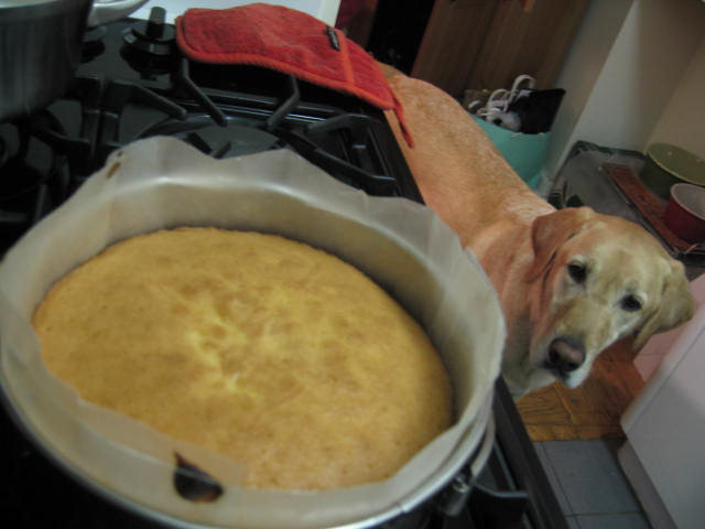 f0036409_6343930.jpg