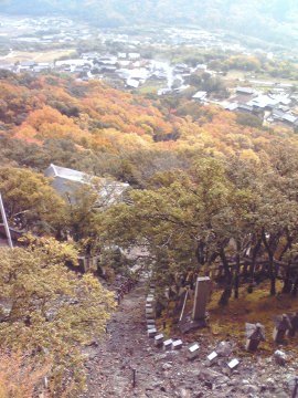 雨の小豆島_e0080315_2346112.jpg