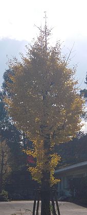 e0108126_14285622.jpg