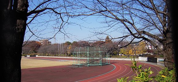 e0108126_1543876.jpg