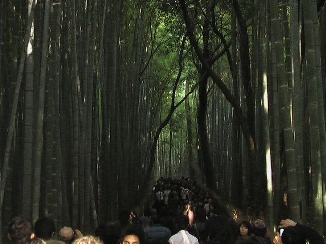 「竹林の道」混雑！！_b0042439_5473351.jpg