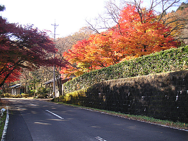 b0088444_21421516.jpg