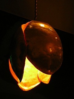 b0132444_20262427.jpg
