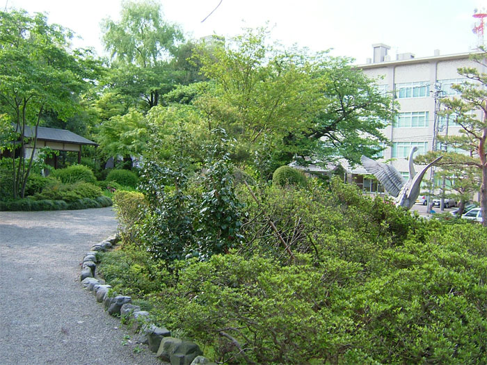 ジョギング With 長男_c0110051_954996.jpg