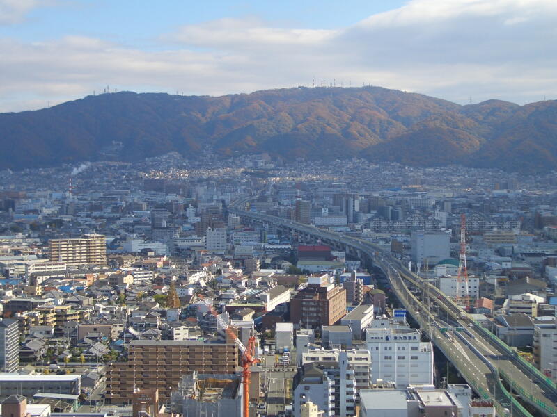 e0161853_2058155.jpg