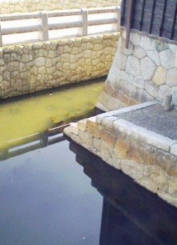 伊勢/神宮の川、商人の川②_f0197754_0411542.jpg